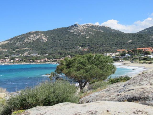 T2 Renove 100M Plage Avec Spa Privatif Entre Calvi Et Ile Rousse Lumio  Eksteriør bilde